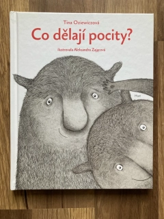 Co dělají pocity ?