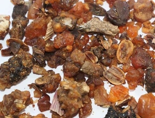 SAGAPENUM