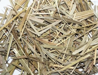 SWEETGRASS