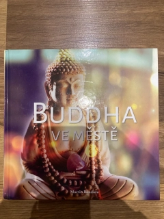 Buddha ve městě